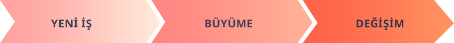 Çalışma Modelimiz